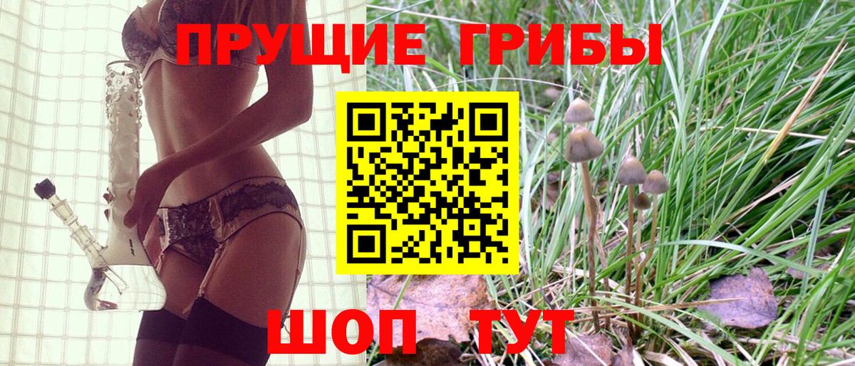 Галлюциногенные грибы мицелий  Псилоцибиновые грибы прущие грибы  Оренбург  Вход с VPN 