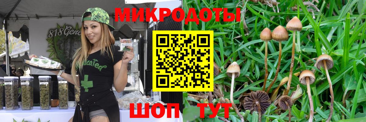 Псилоцибиновые грибы ЛСД Оренбург
