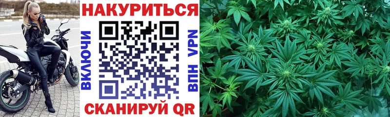 наркотики  Оренбург  МАРИХУАНА планчик 